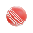 Cricket Fever