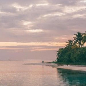 Ảnh đại diện của Anika